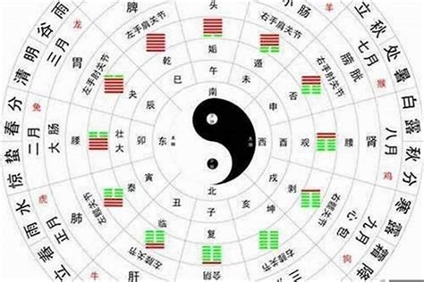 八字木多|八字木多代表什么 八字木多的人命好不好